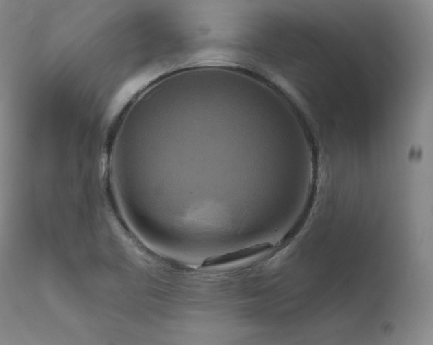 X0000111511461200907141324