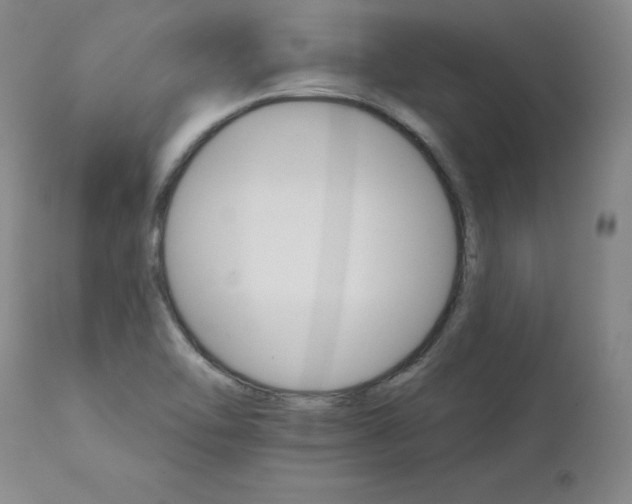 X0000111511462200907141324