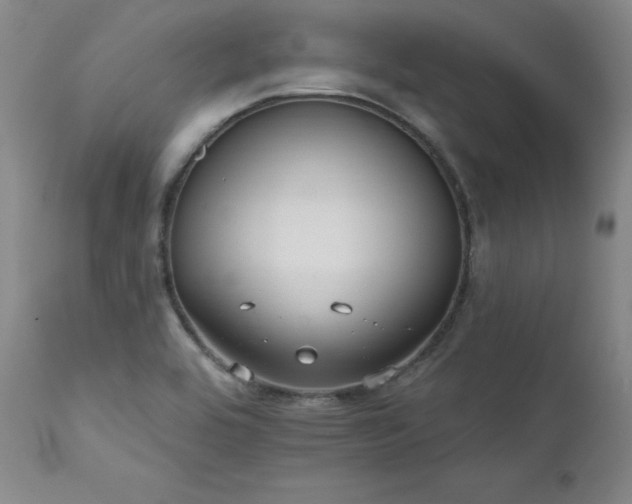 X0000111511464200907141324