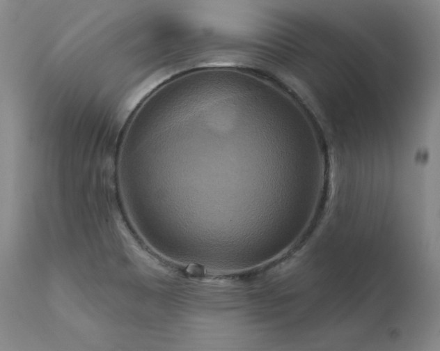 X0000111511465200907141324