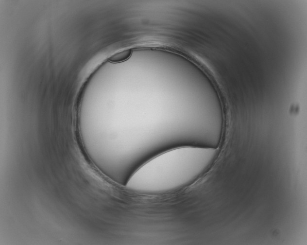 X0000111511467200907141324