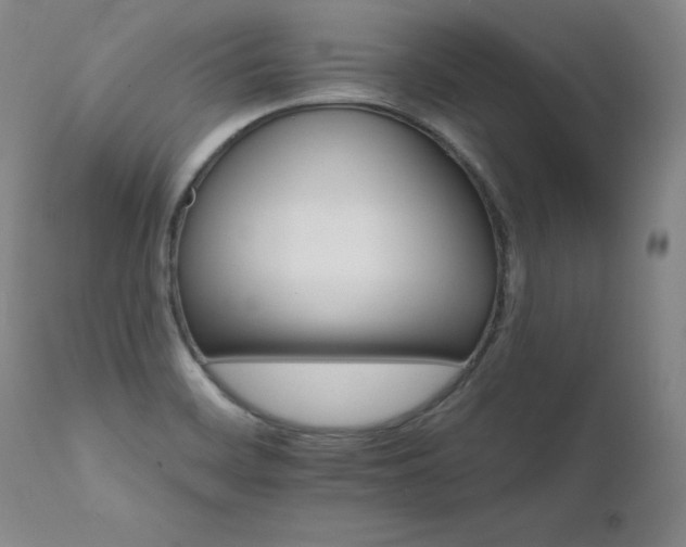 X0000111511468200907141324
