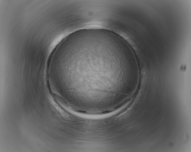 X0000111511469200907141324