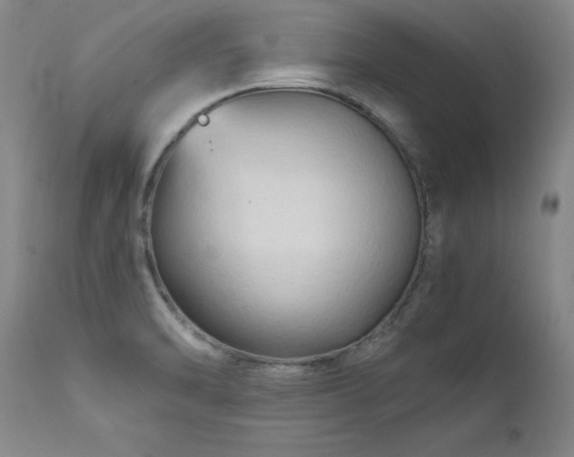 X0000111511470200907141324
