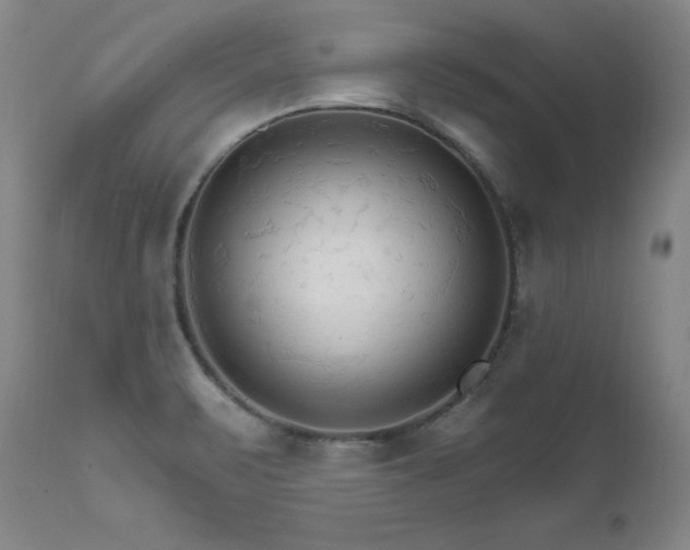 X0000111511471200907141324