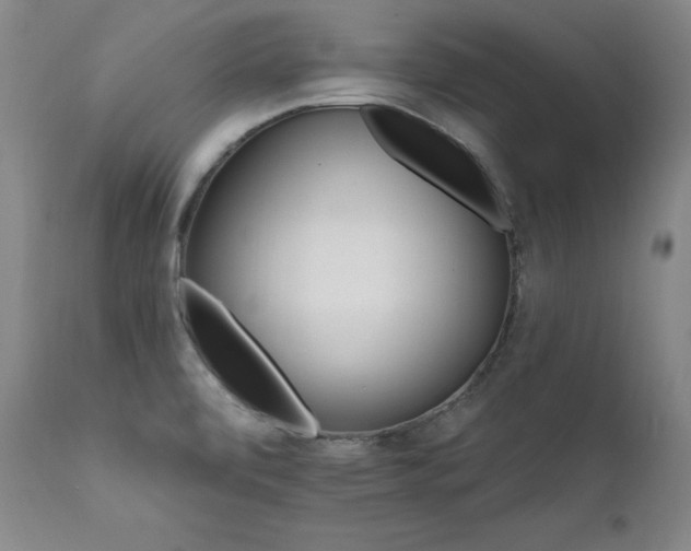 X0000111511472200907141324