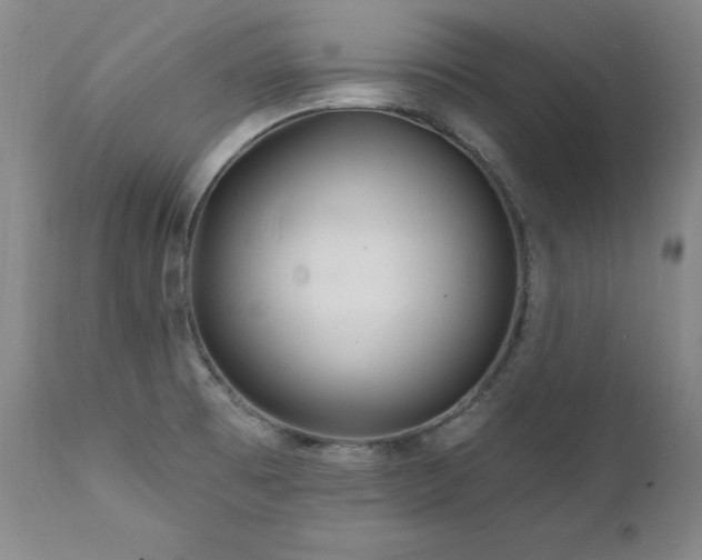 X0000111511473200907141324