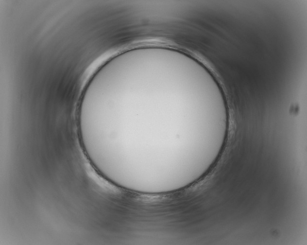 X0000111511474200907141324