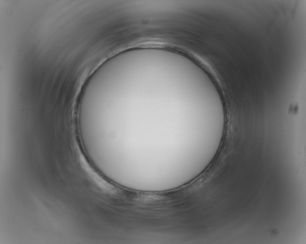 X0000111511475200907141324