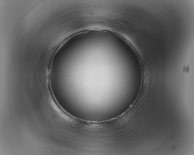 X0000111511476200907141324