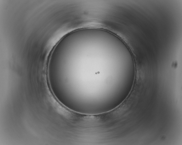 X0000111511478200907141324