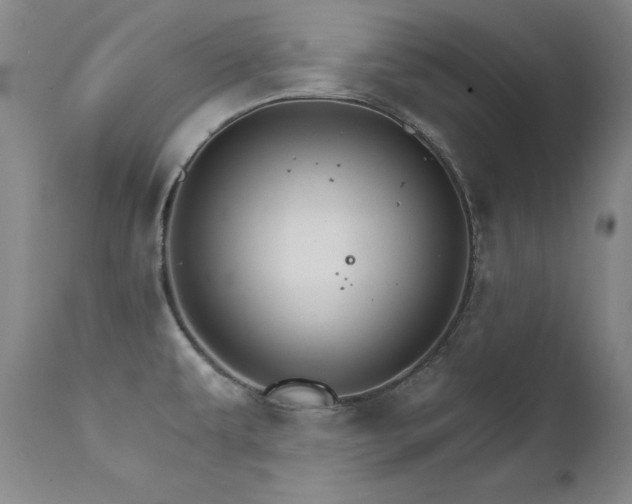X0000111511479200907141324