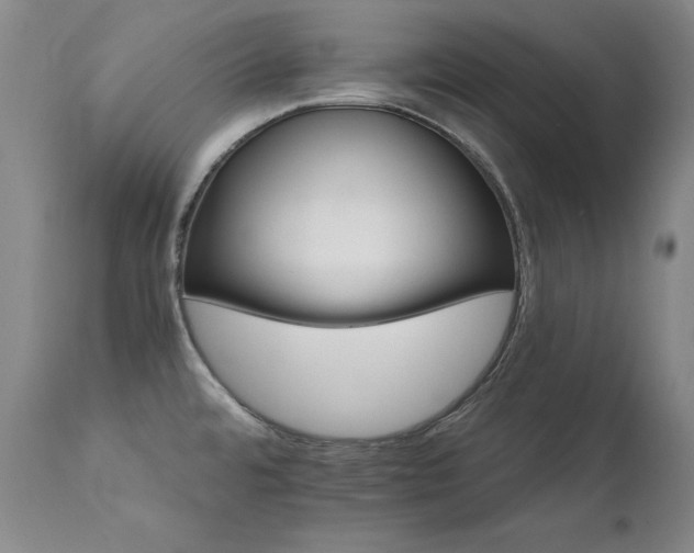 X0000111511480200907141324