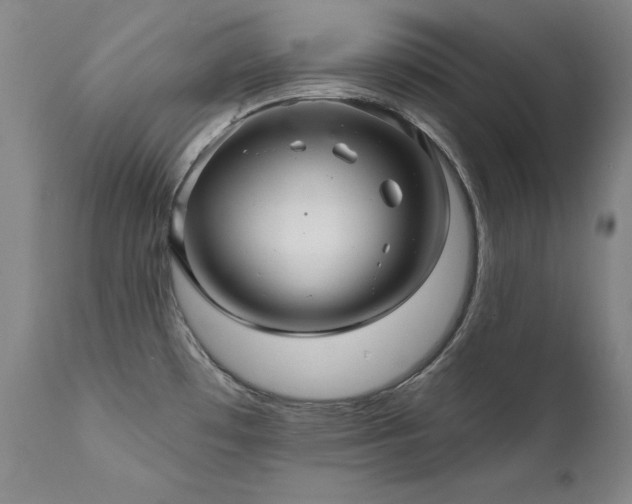 X0000111511481200907141324