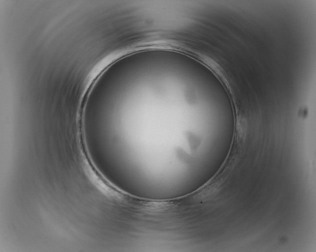 X0000111511482200907141324