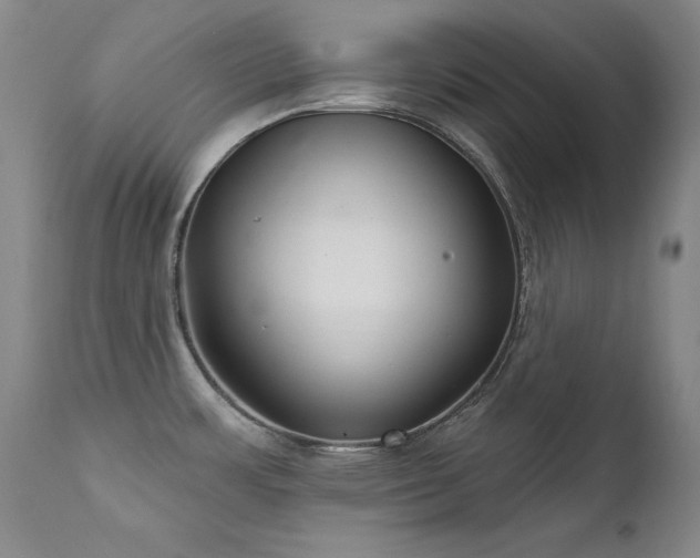 X0000111511483200907141324
