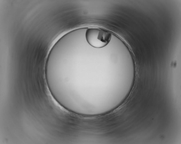 X0000111511484200907141324