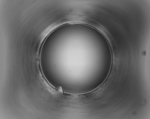 X0000111511485200907141324