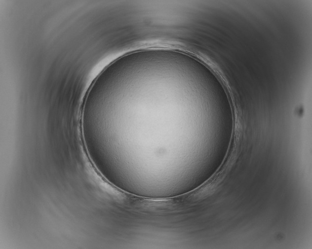 X0000111511486200907141324