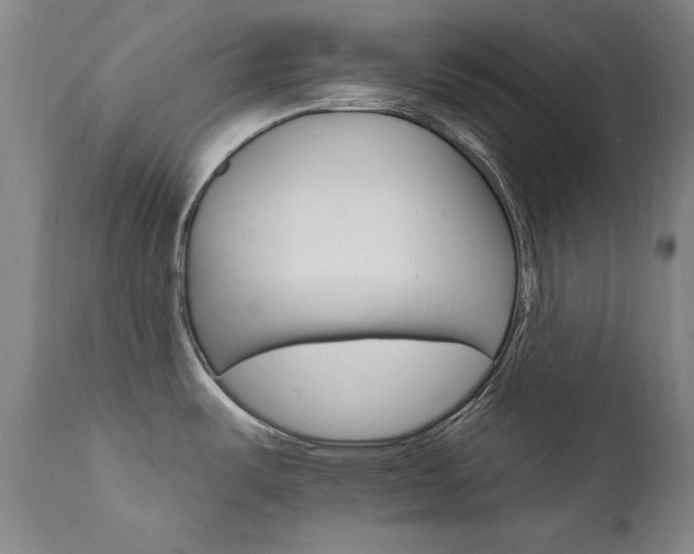 X0000111511487200907141324