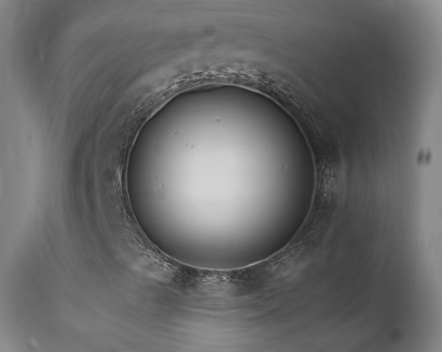 X0000111511489200907141323