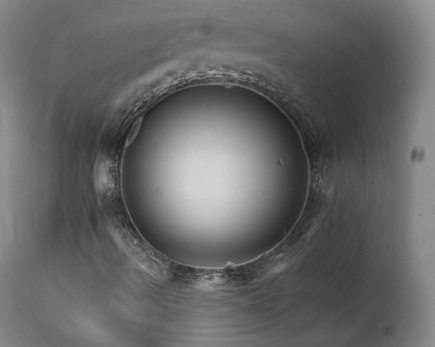 X0000111511490200907141323
