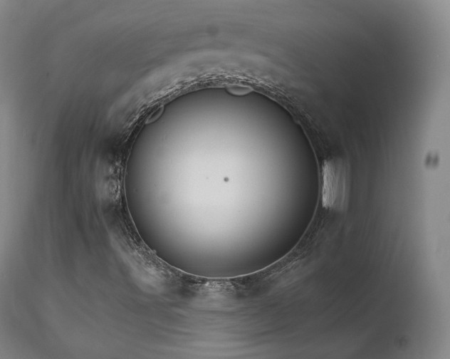 X0000111511491200907141323