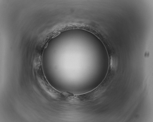 X0000111511492200907141323