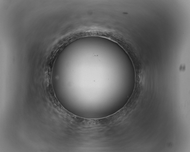 X0000111511493200907141323