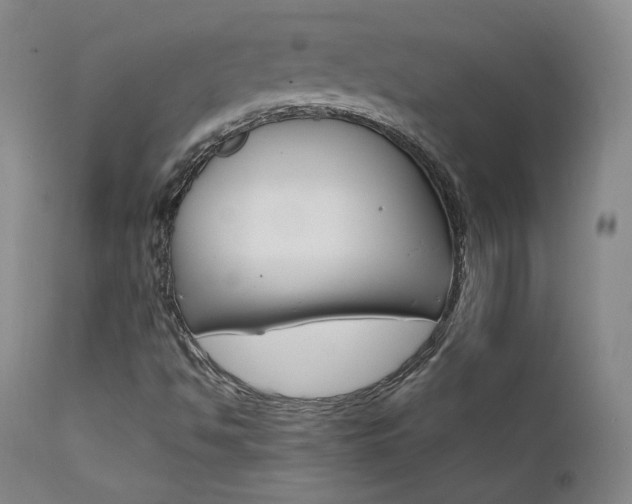 X0000111511494200907141323