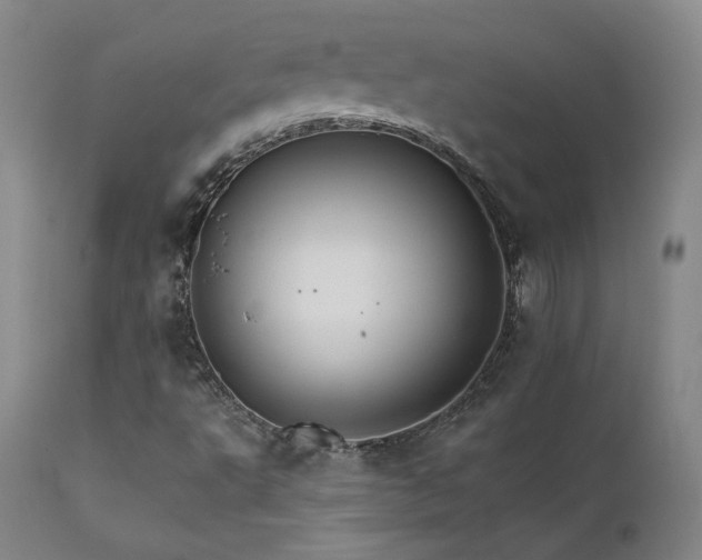 X0000111511495200907141323