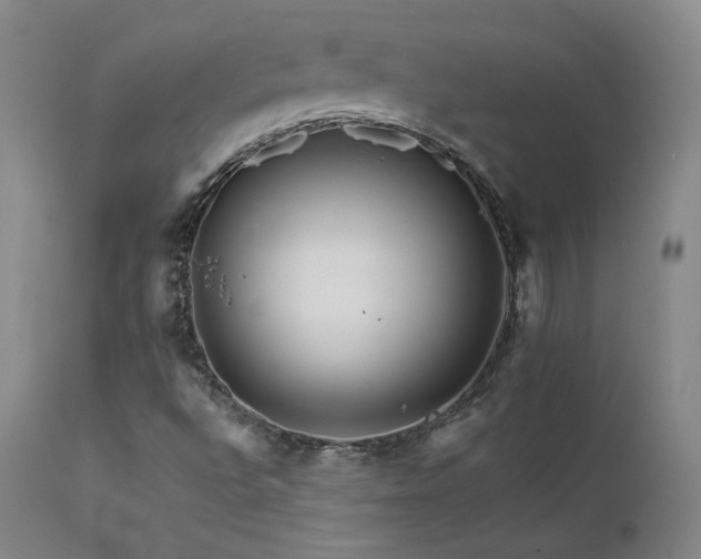 X0000111511496200907141323
