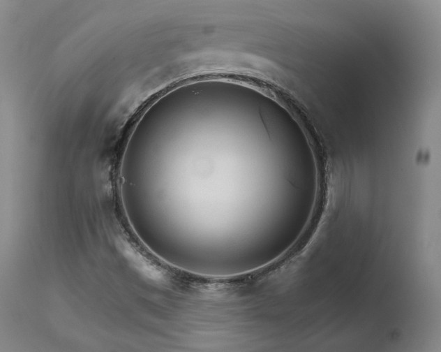X0000111511497200907141323