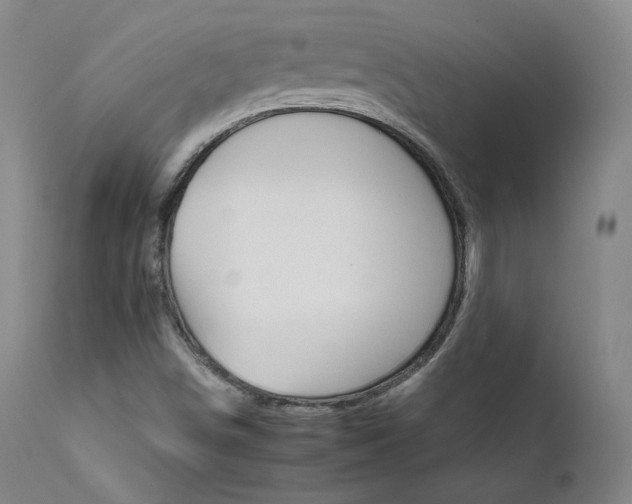 X0000111511498200907141323