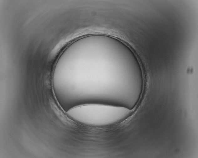 X0000111511499200907141324