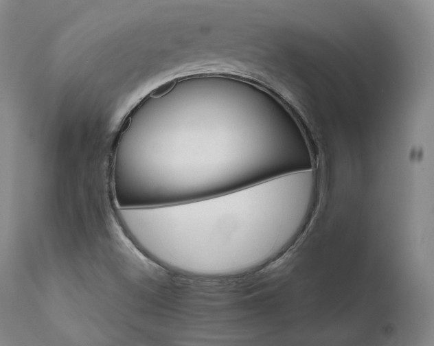 X0000111511500200907141324