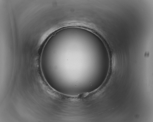 X0000111511501200907141324