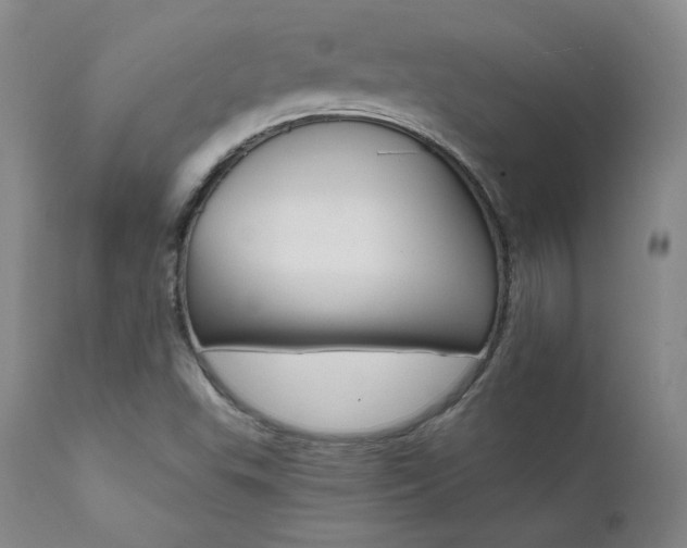 X0000111511503200907141324