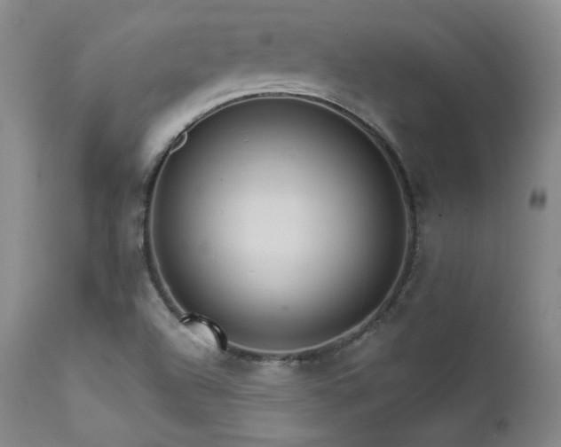 X0000111511504200907141324