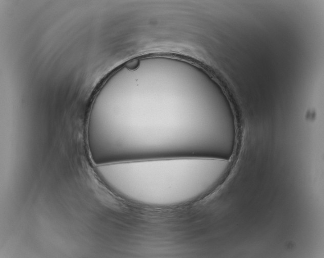X0000111511505200907141324