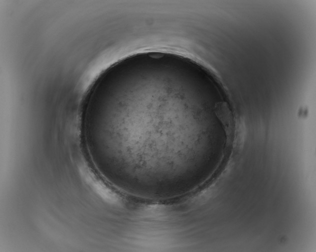 X0000111511506200907141324