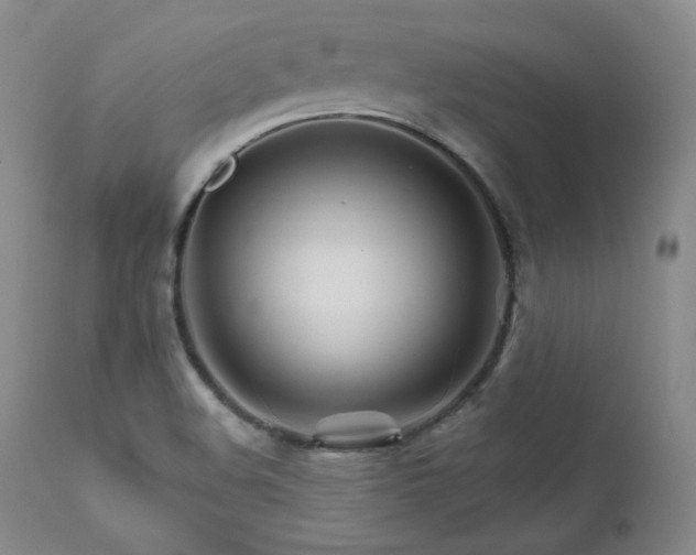 X0000111511508200907141324