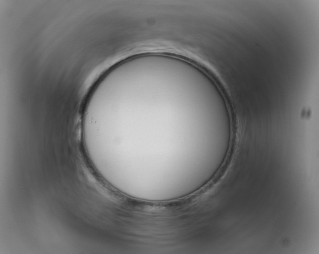 X0000111511509200907141324