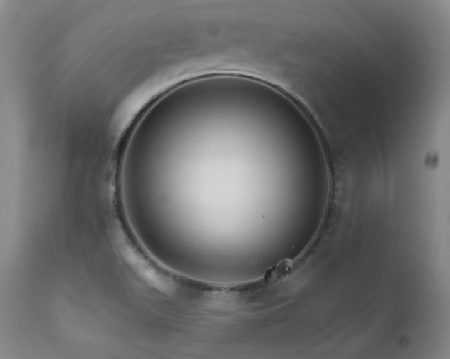 X0000111511511200907141324