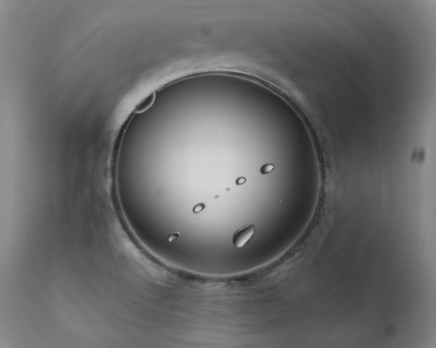 X0000111511512200907141324