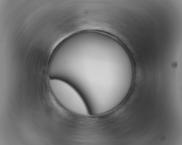 X0000111511513200907141324