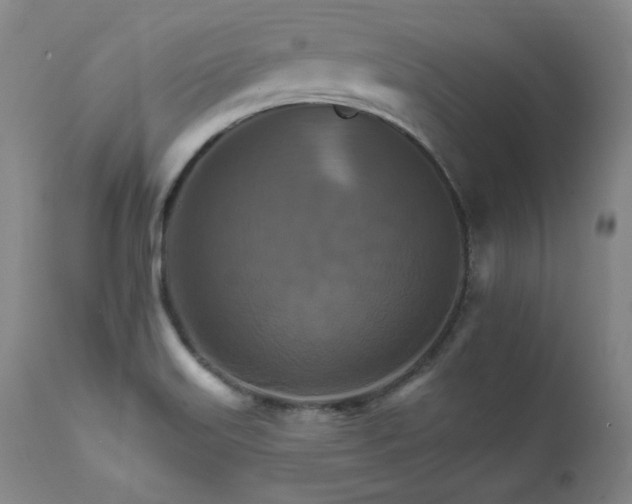 X0000111511515200907141324