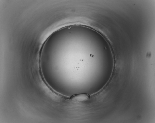 X0000111511516200907141324