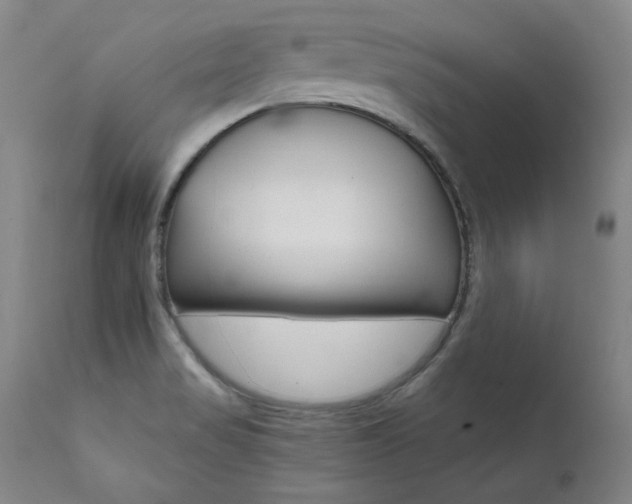 X0000111511517200907141324