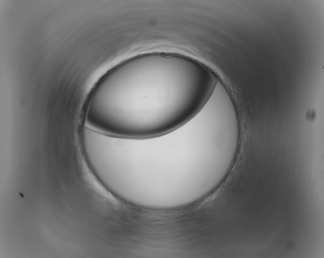 X0000111511518200907141324